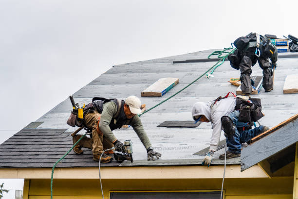 Professional Roofing technician working in South River, NM